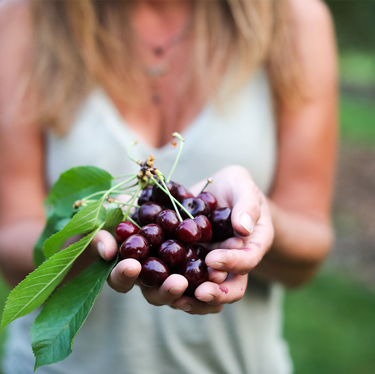 Spindrift Organics orchard